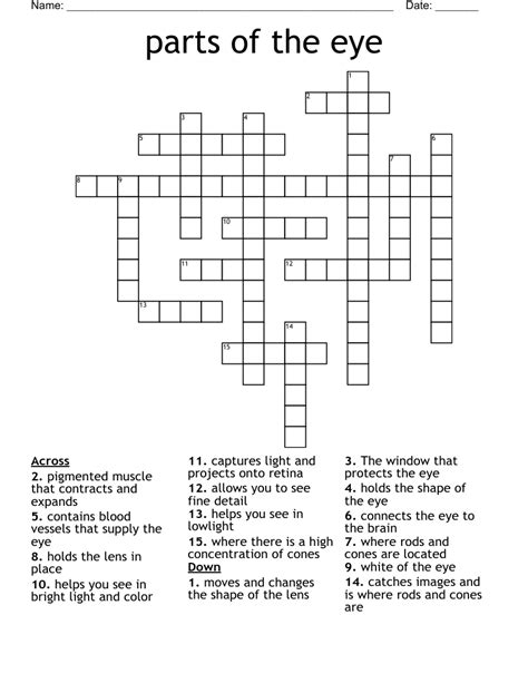 The Crossword Solver found 30 answers to "Coloured parts of the eyes", 5 letters crossword clue. The Crossword Solver finds answers to classic crosswords and cryptic crossword puzzles. Enter the length or pattern for better results. Click the answer to find similar crossword clues . Enter a Crossword Clue.